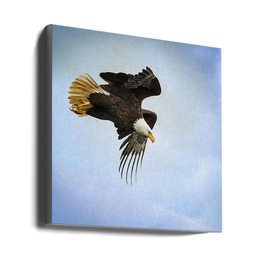 Wall art Taking Flight-24X24inches-Gallery Wrapped (Ready to Hang)