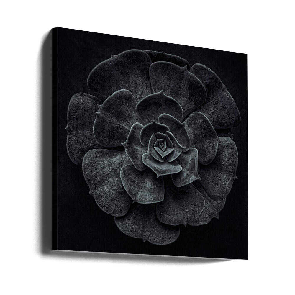 Wall art Cactus flower