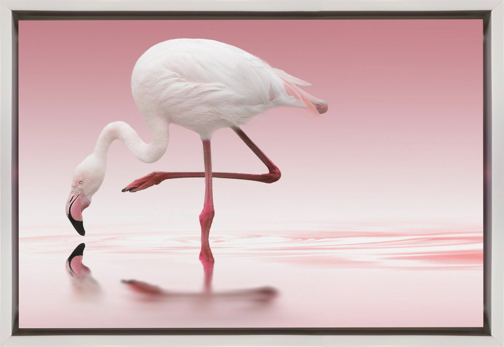 Artwork Flamingo36X24inches- Black Frame