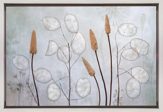 Lunaria Wall Artwork In Black Floating Frame