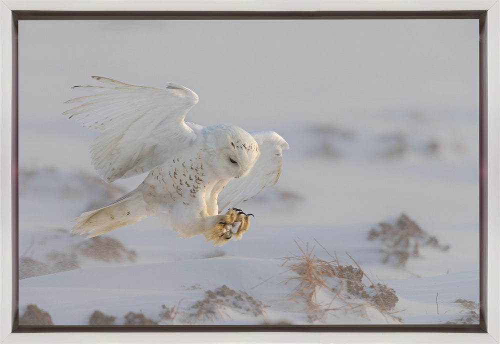 Wall art Landing-36X24inches-In Black Floating Frame