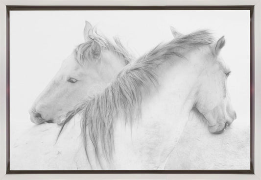 Horses Wall Artwork In Black Floating Frame