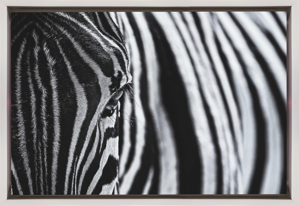 Artwork- The look of nature-36X24inches-Gallery Wrapped (Ready to Hang)