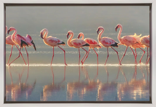 Flamingo Wall Artwork In Black Floating Frame