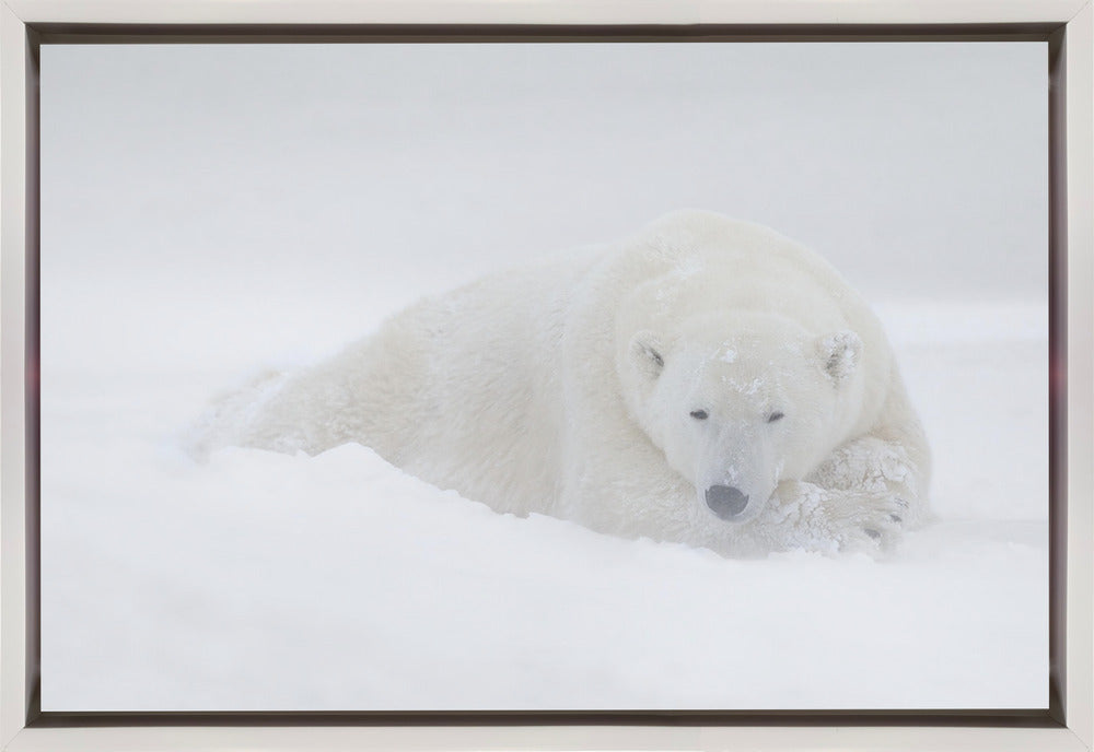 Wall art White-36X24inches-In Black Floating Frame