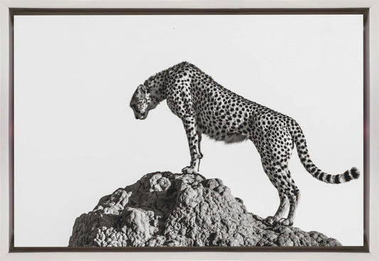 the hunter Wall Artwork In Black Floating Frame