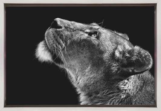 Looking Up Wall Artwork In Black Floating Frame