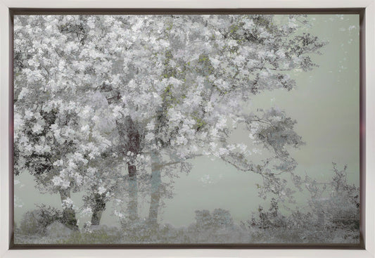 Spring Wall Artwork In Black Floating Frame