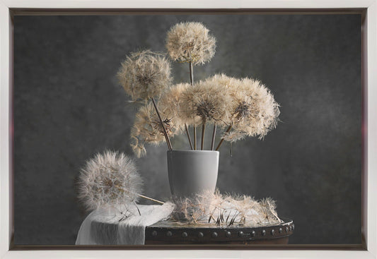 Dandelion Seed Pod Wall Artwork In Black Floating Frame