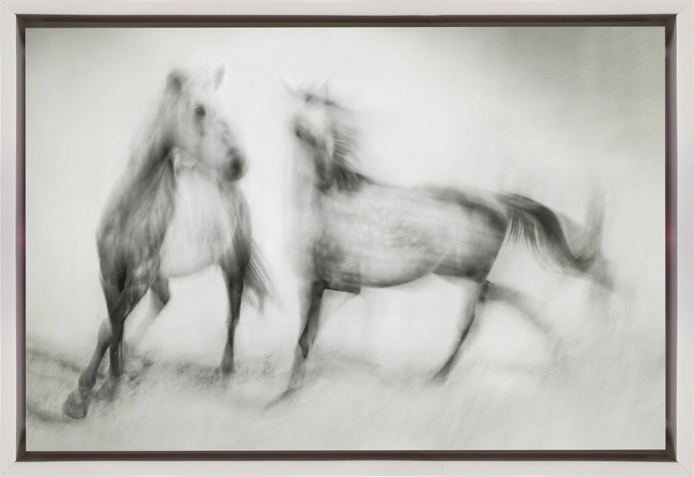 Artwork- Shivers-48X36inches-In White Floating Frame
