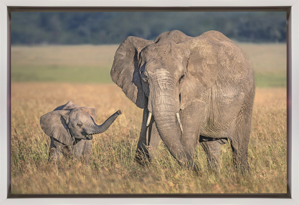 Artwork Mom elephant with calf36X24inches- Black Frame