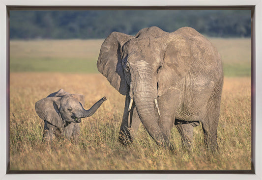 Artwork Mom elephant with calf36X24inches- Black Frame