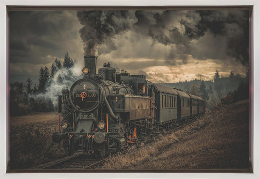 Gold digger train Wall Artwork In Black Floating Frame