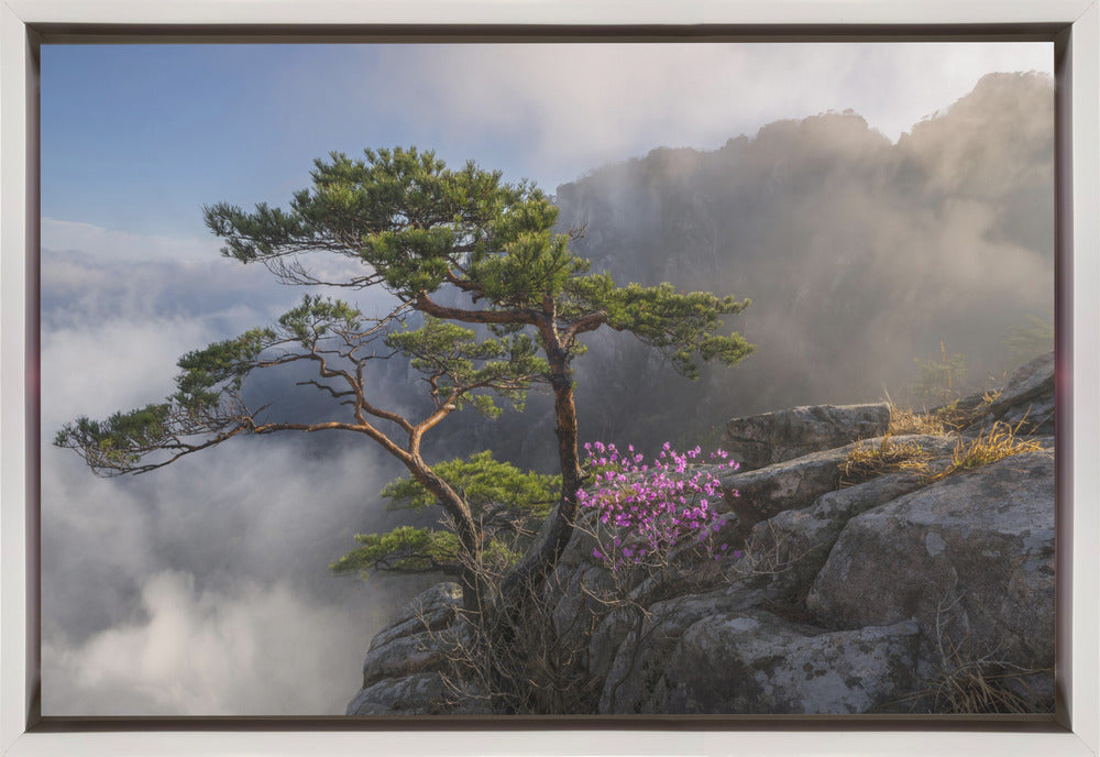 Dream dancer Wall Artwork In Black Floating Frame