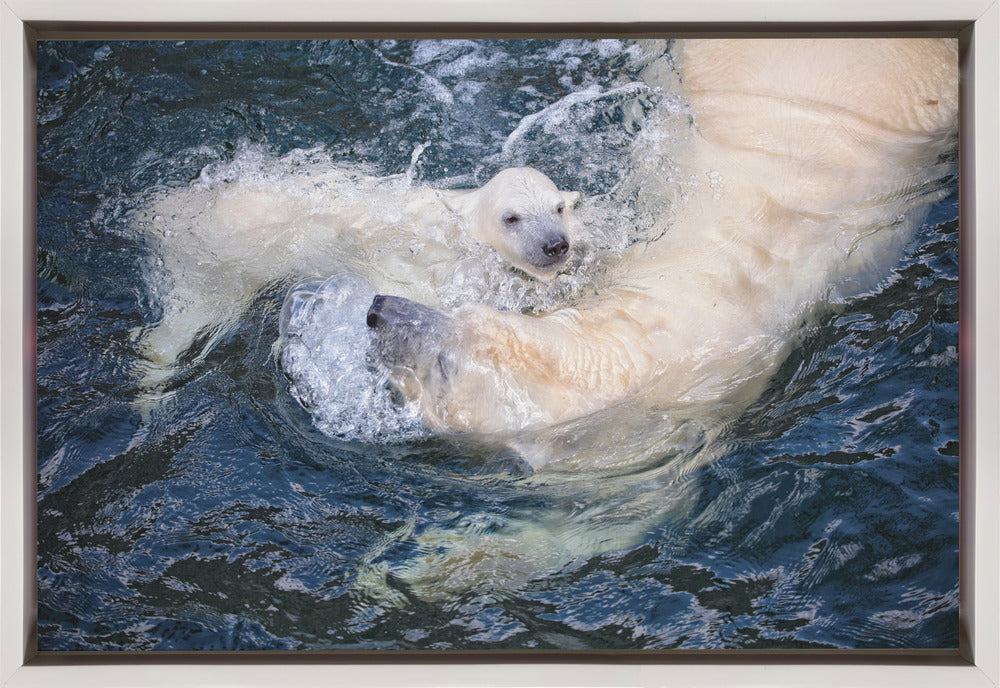 Artwork HER CUTENESS, swimming with mum36X24inches- Black Frame