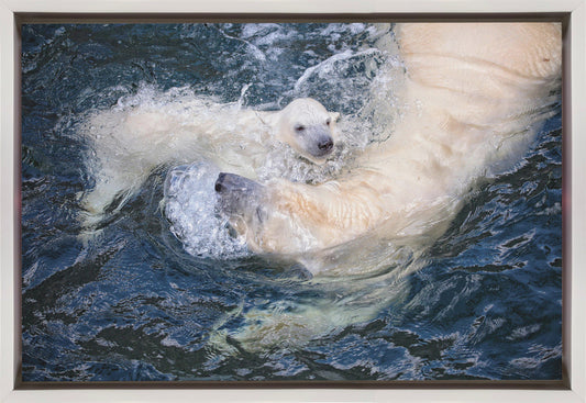 Artwork HER CUTENESS, swimming with mum36X24inches- Black Frame