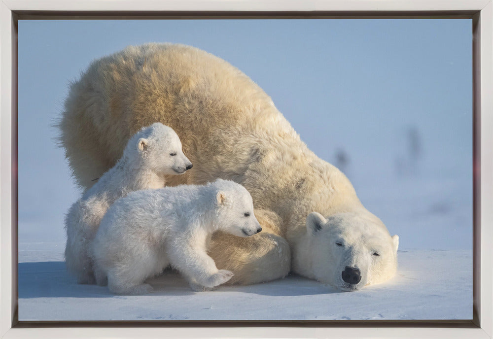 Artwork Mum, Play together36X24inches- Black Frame