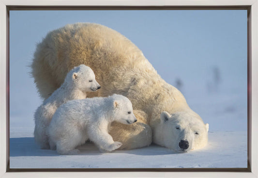 Artwork Mum, Play together36X24inches- Black Frame