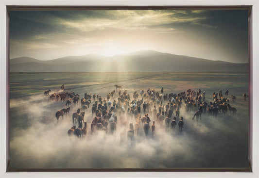 Wild Horses Wall Artwork In Black Floating Frame