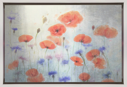 Poppy Wall Artwork In Black Floating Frame