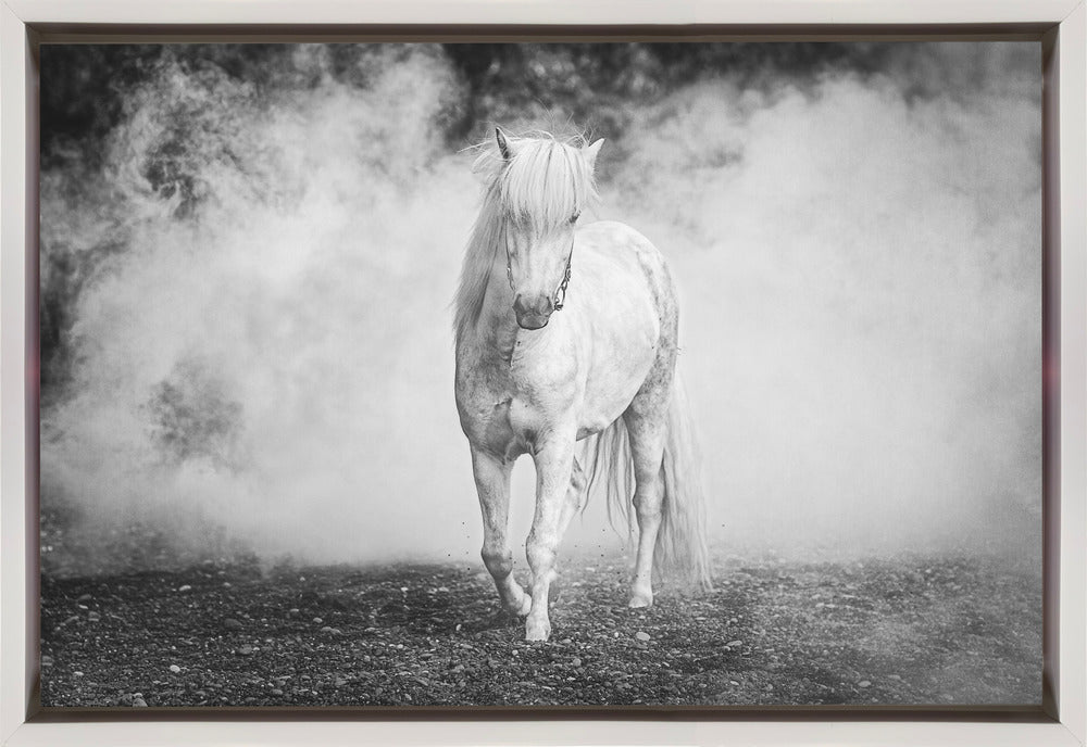 Artwork- Icelandic pony-36X24inches-Gallery Wrapped (Ready to Hang)