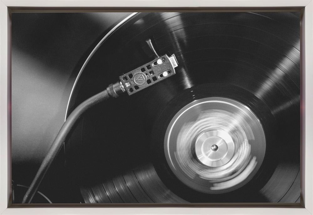 Artwork- Vinyl_005-36X24inches-Gallery Wrapped (Ready to Hang)