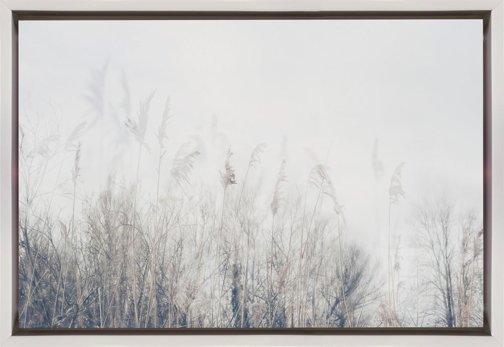 Artwork- Landscape of reeds and grass-36X24inches-Gallery Wrapped (Ready to Hang)