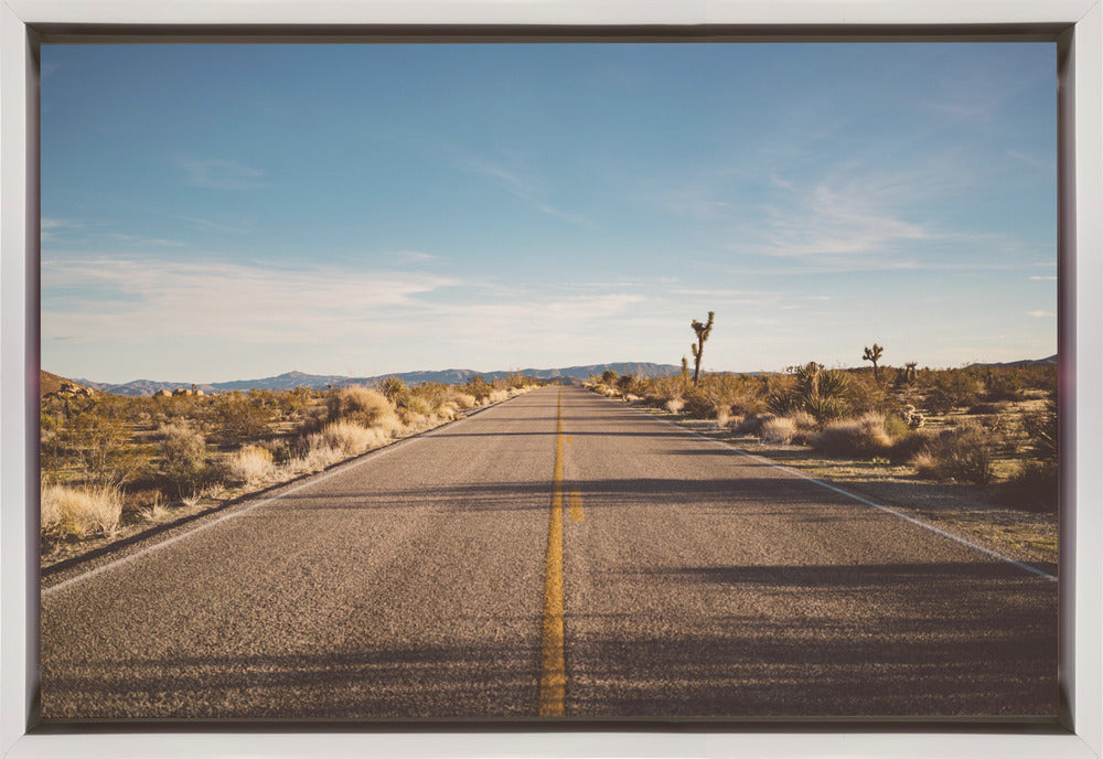 Joshua Tree Road Wall Artwork Gallery Wrapped (Ready to Hang)