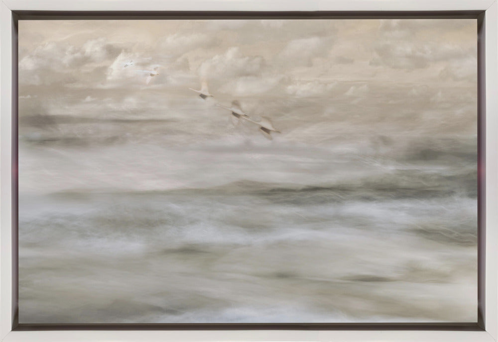 Artwork- Swans over sea-36X24inches-Gallery Wrapped (Ready to Hang)