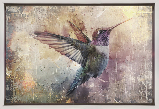 Bird Birds Animal Vintage Art Illustration Wallart 11 Wall Artwork In Black Floating Frame
