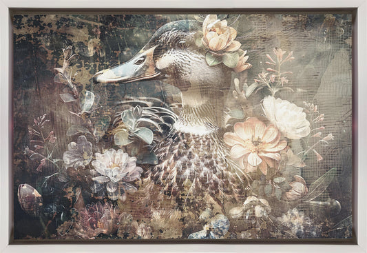 Duck Animal Vintage Art Illustration Wallart 06 Wall Artwork In Black Floating Frame