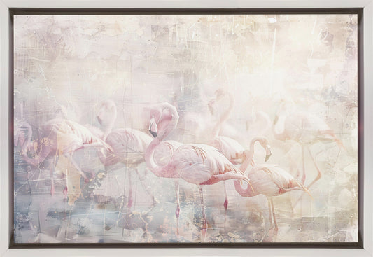 Flamingo Animal Vintage Art Illustration Wallart 10 Wall Artwork In Black Floating Frame