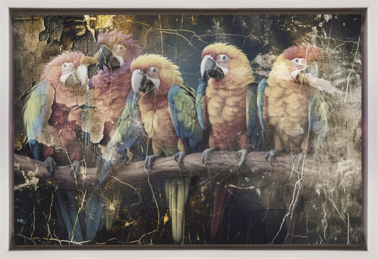 Parrot Animal Vintage Art Illustration Wallart 10 Wall Artwork In Black Floating Frame