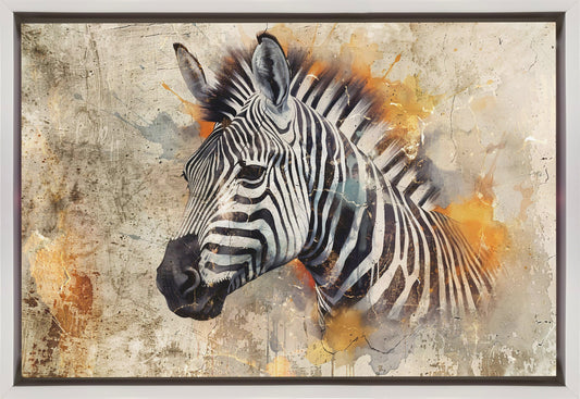 Zebra Animal Vintage Art Illustration Wallart 06 Wall Artwork In Black Floating Frame