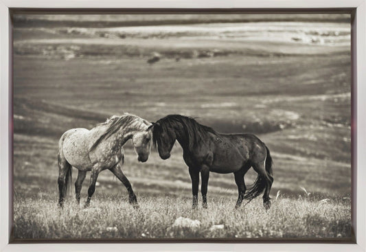Artwork close encounter36X24inches- Black Frame