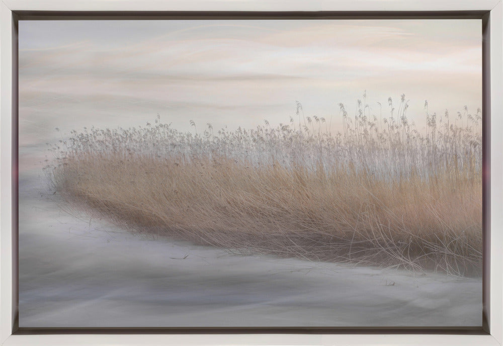 Artwork- Winter Reed-36X24inches-Gallery Wrapped (Ready to Hang)