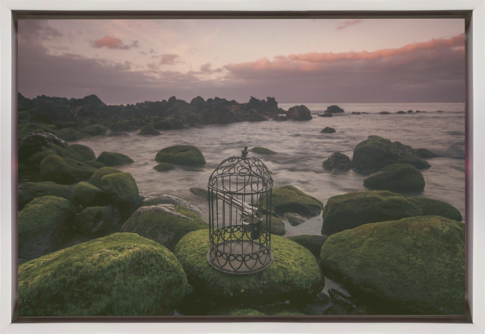 Wall art Free yourself!-36X24inches-In Black Floating Frame