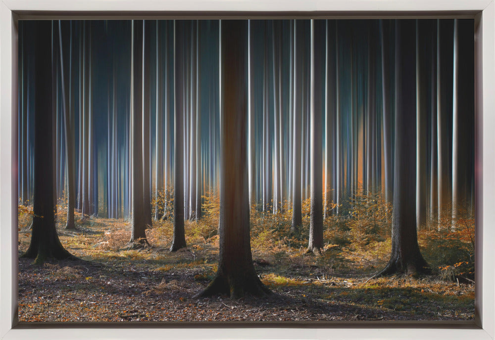 Artwork Mystic Wood36X24inches- Black Frame