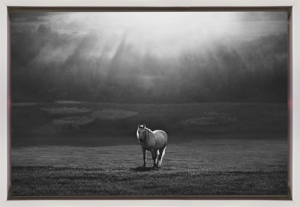 Artwork morning appearance. Hourses36X24inches- Black Frame