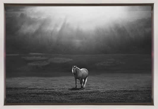 Artwork morning appearance. Hourses36X24inches- Black Frame