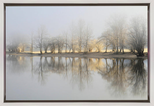 Artwork january morning36X24inches- Black Frame