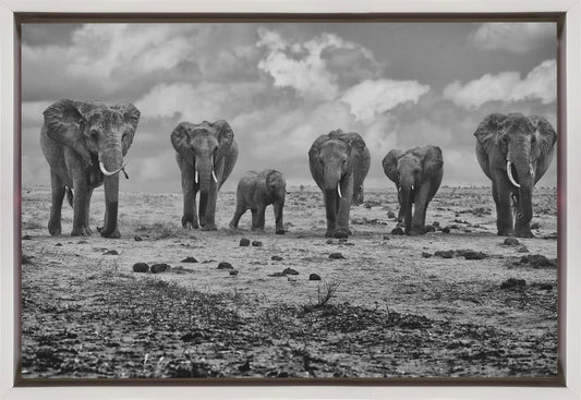 Artwork Big Family. Elephants36X24inches- Black Frame