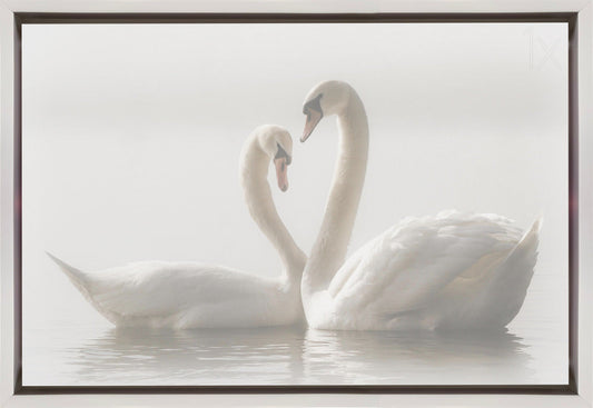 Artwork Forever. Swam36X24inches- Black Frame