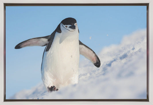 Wall art Running up that hill-36X24inches-In Black Floating Frame