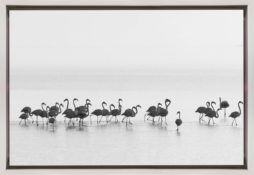 Artwork Flamingos36X24inches- Black Frame
