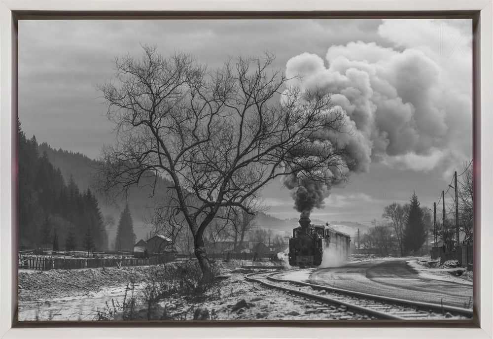 Artwork- Mocanita Hutulca-36X24inches-Gallery Wrapped (Ready to Hang)