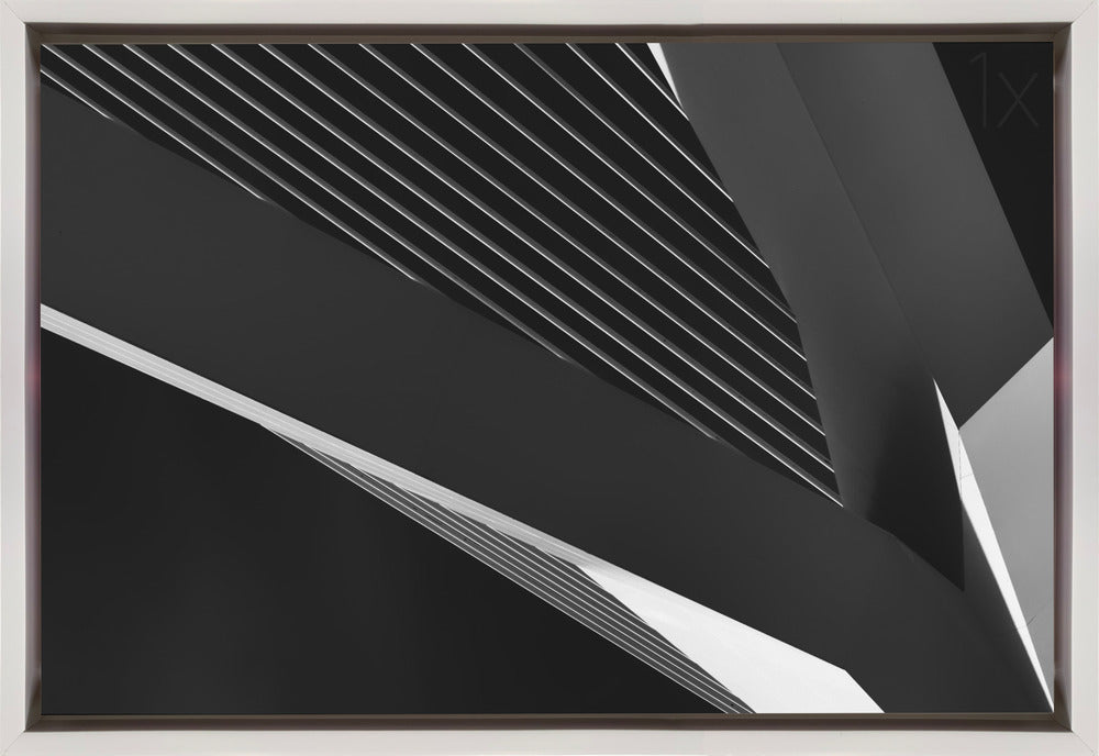 Artwork- Abstraction of a swan-36X24inches-Gallery Wrapped (Ready to Hang)