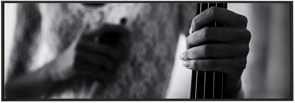 Artwork- break for the cello-36X24inches-In Black Floating Frame