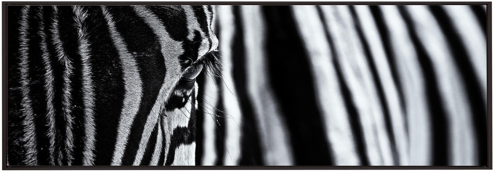 Artwork- The look of nature-36X24inches-In Black Floating Frame