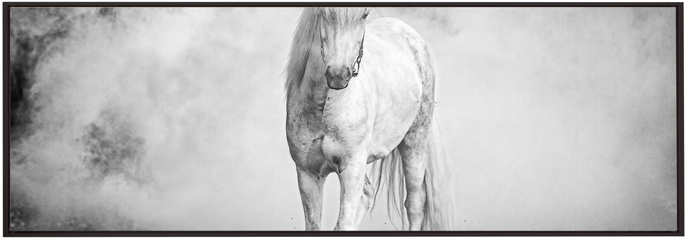 Artwork- Icelandic pony-36X24inches-In Black Floating Frame